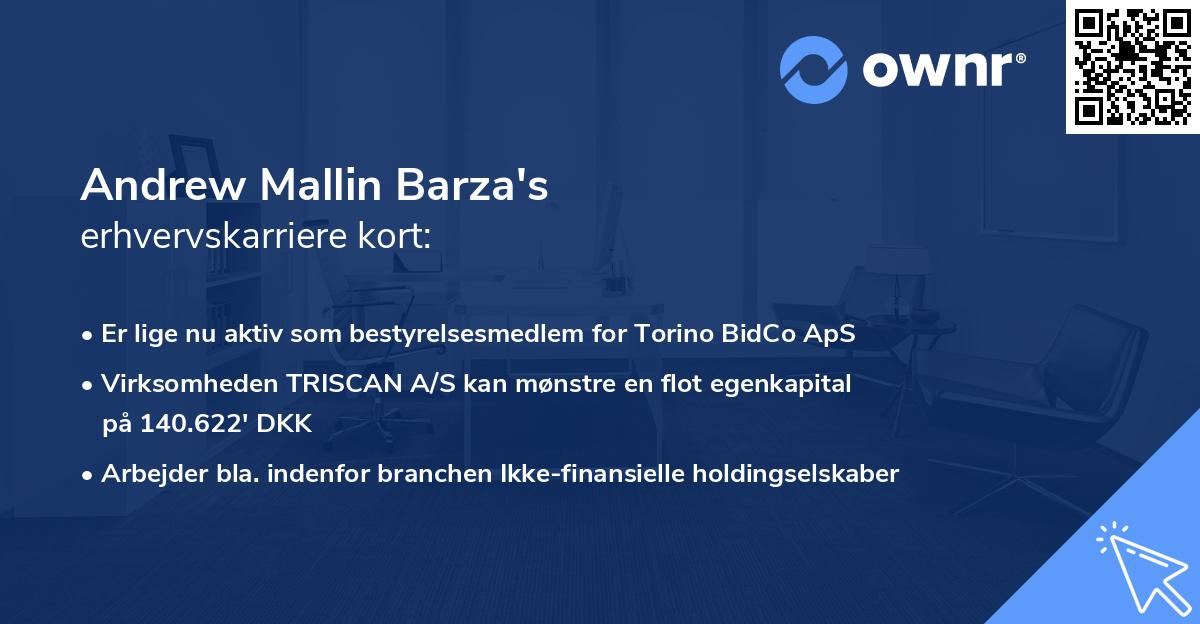 Andrew Mallin Barza's erhvervskarriere kort