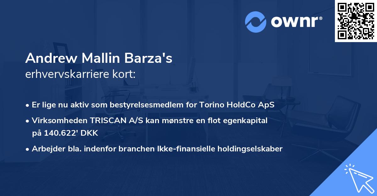Andrew Mallin Barza's erhvervskarriere kort
