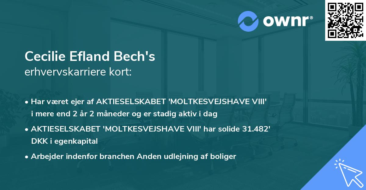 Cecilie Efland Bech's erhvervskarriere kort