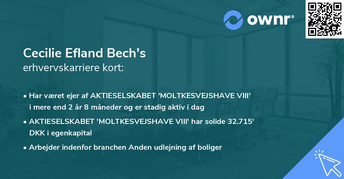 Cecilie Efland Bech's erhvervskarriere kort