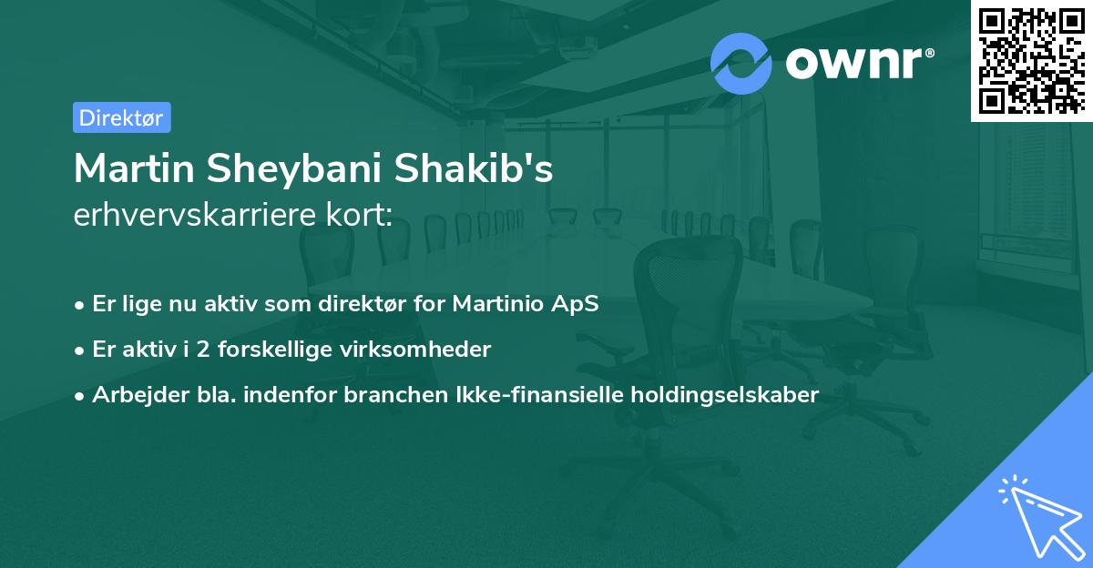 Martin Sheybani Shakib's erhvervskarriere kort