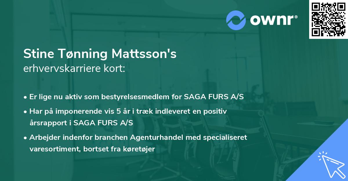 Stine Tønning Mattsson's erhvervskarriere kort
