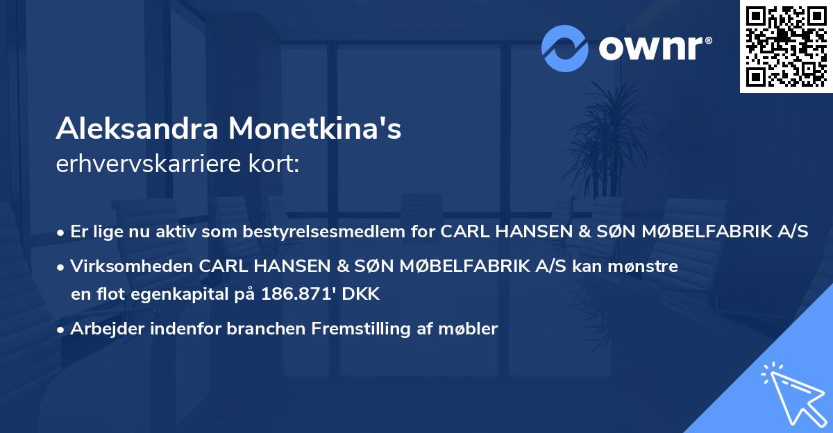Aleksandra Monetkina's erhvervskarriere kort