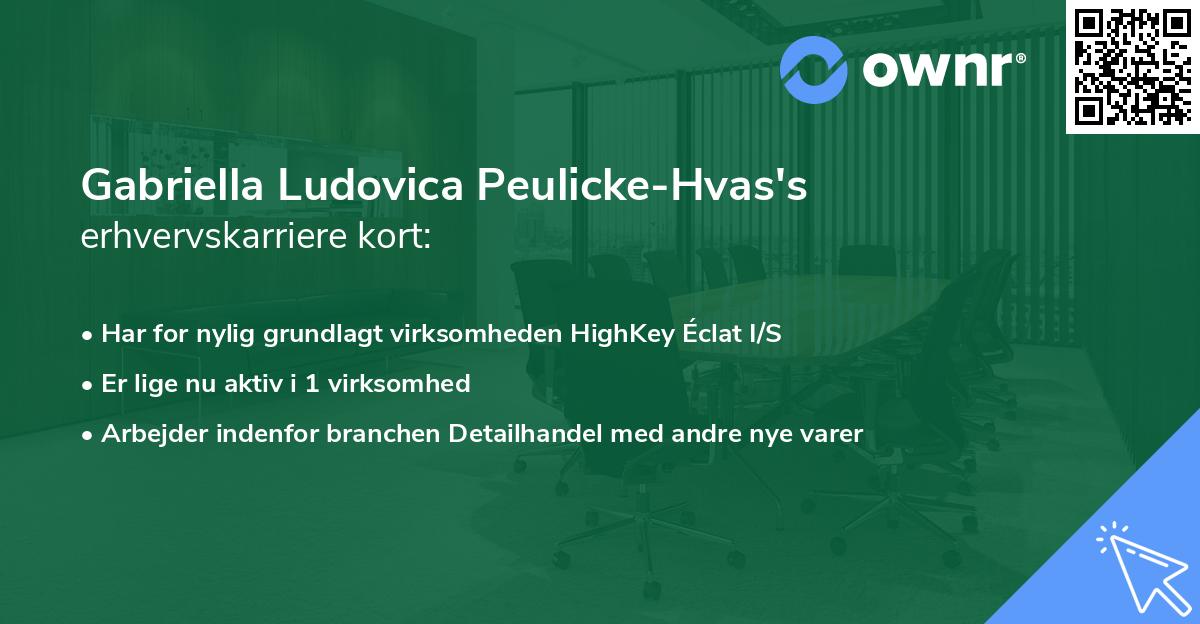 Gabriella Ludovica Peulicke-Hvas's erhvervskarriere kort