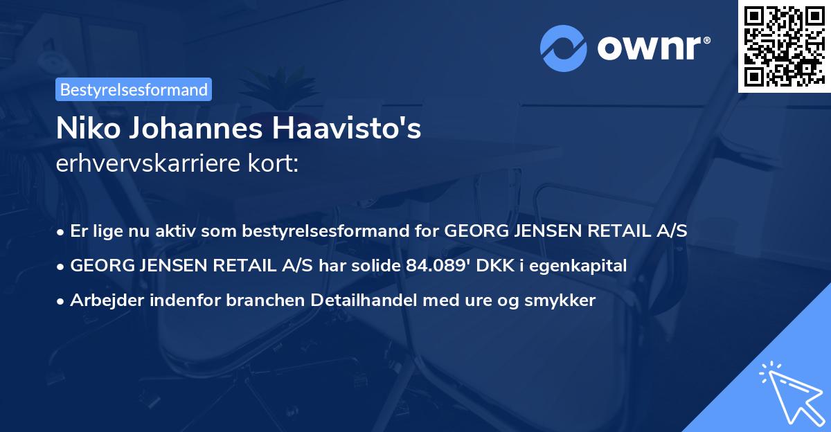 Niko Johannes Haavisto's erhvervskarriere kort
