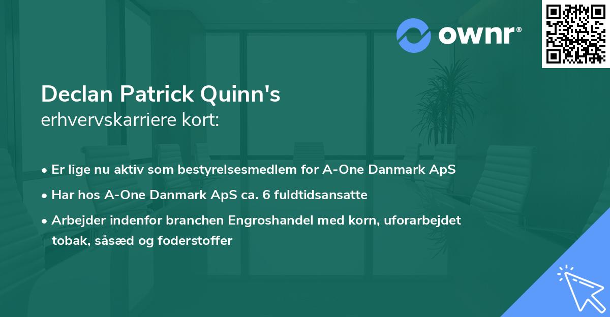 Declan Patrick Quinn's erhvervskarriere kort