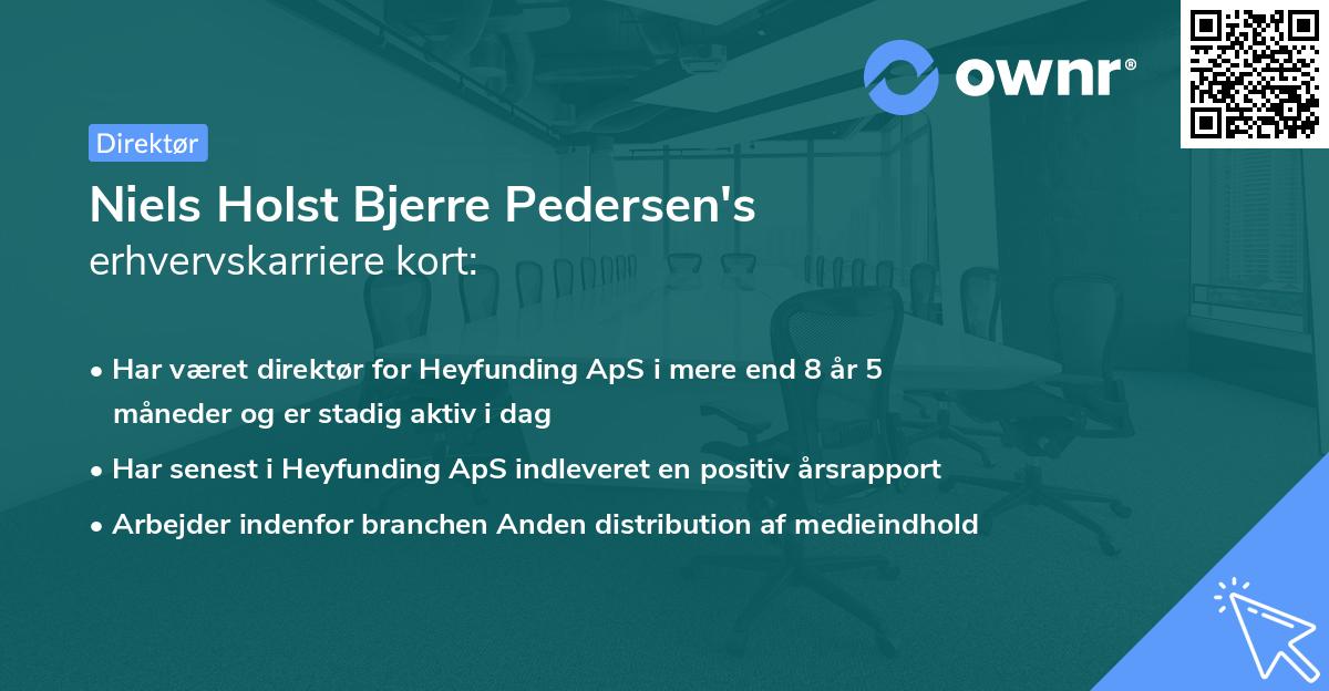 Niels Holst Bjerre Pedersen's erhvervskarriere kort