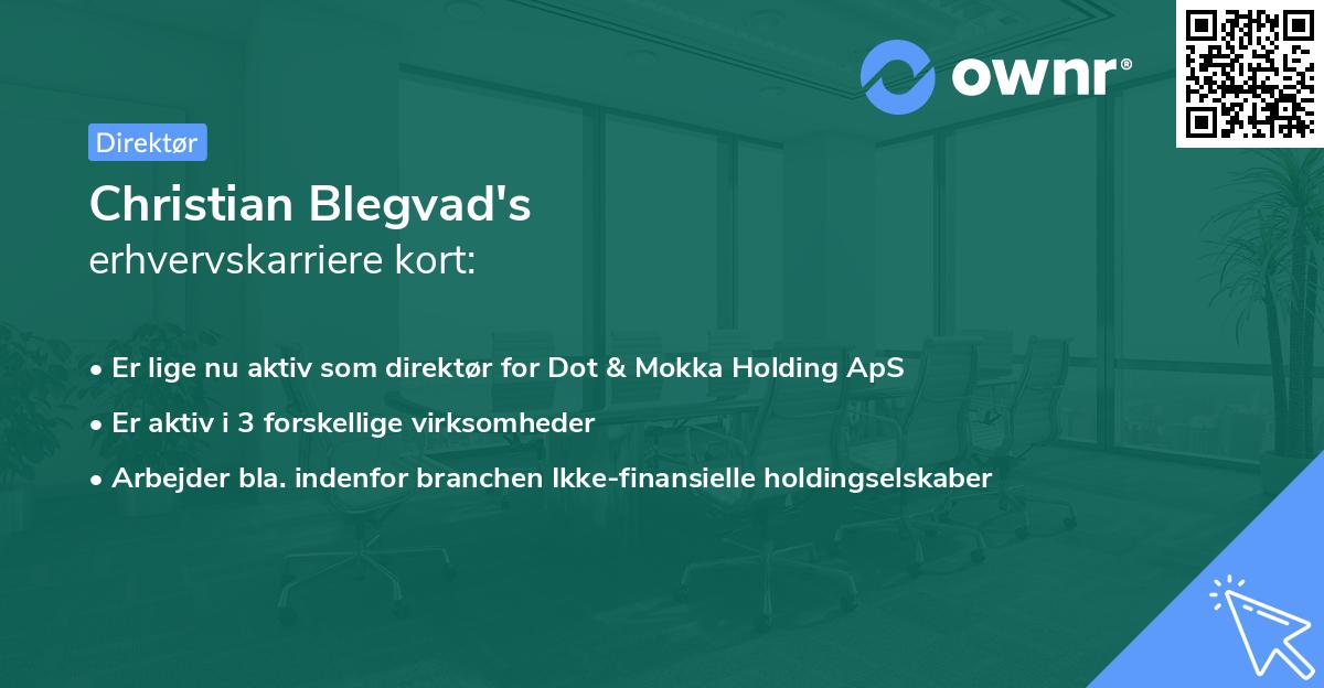 Christian Blegvad's erhvervskarriere kort