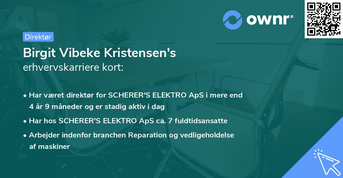 Birgit Vibeke Kristensen's erhvervskarriere kort