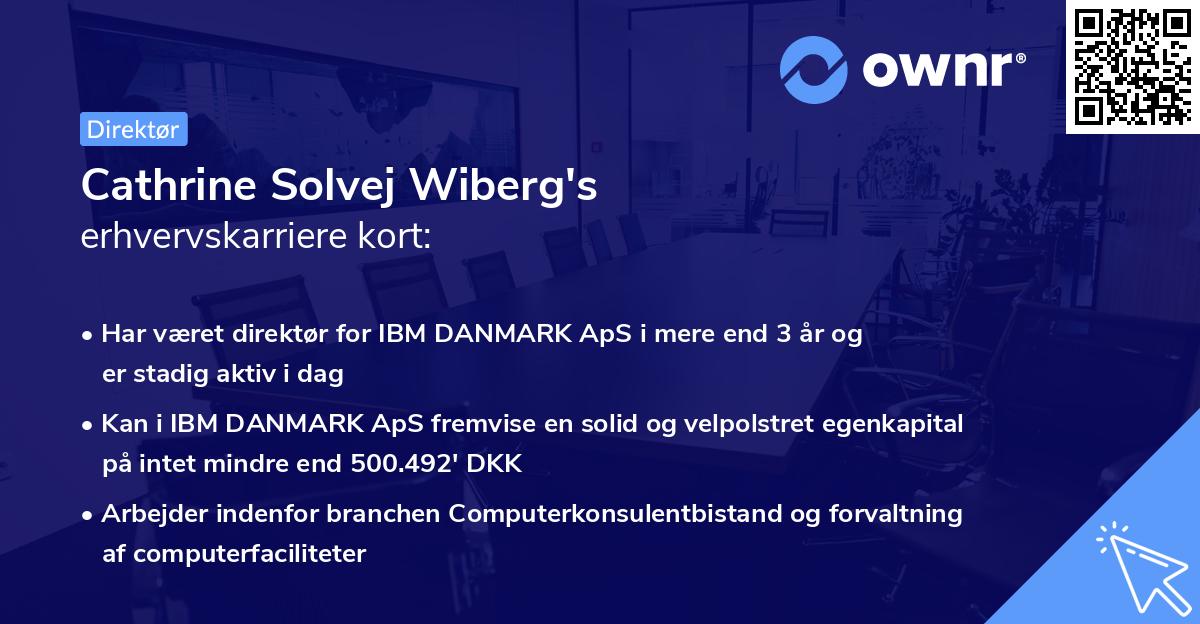 Cathrine Solvej Wiberg's erhvervskarriere kort