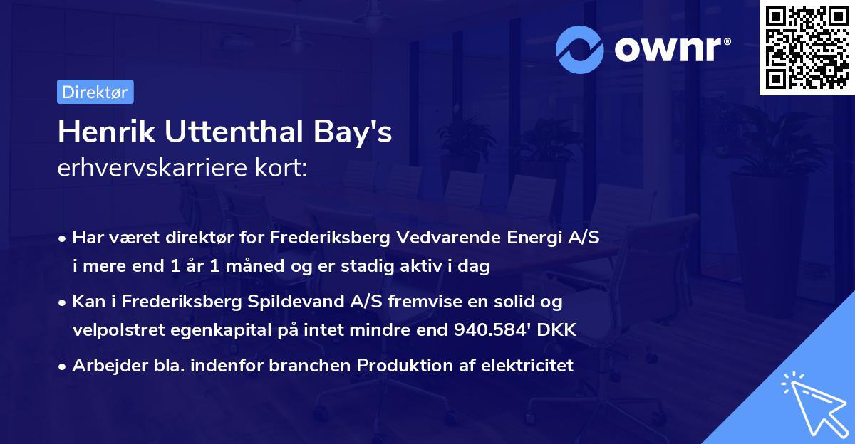 Henrik Uttenthal Bay's erhvervskarriere kort