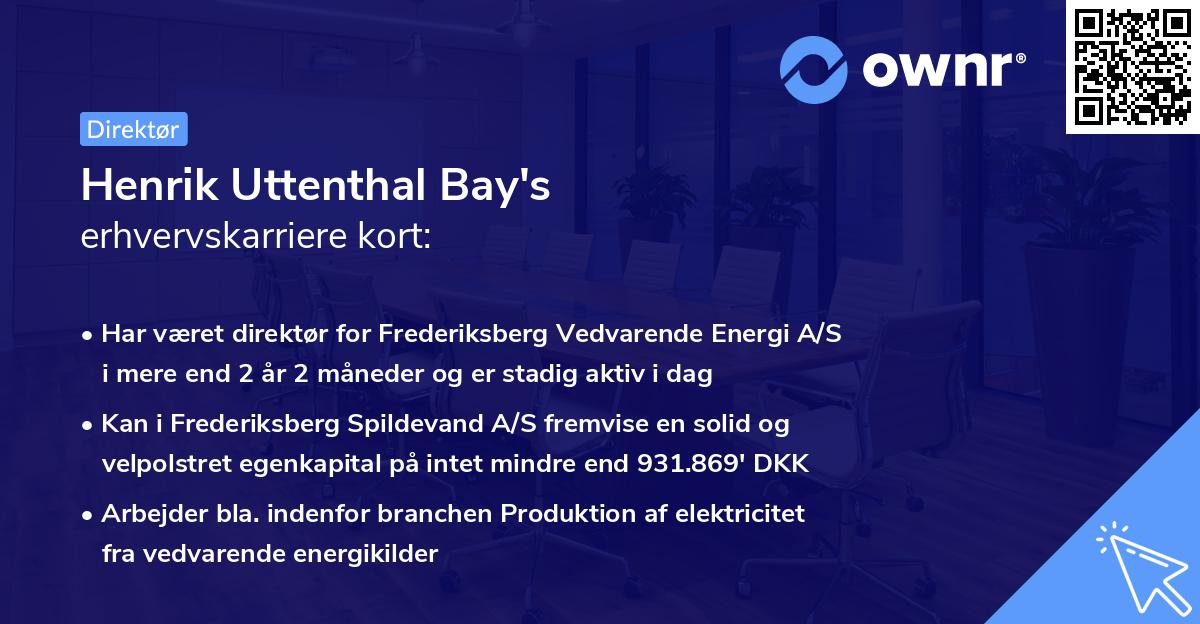 Henrik Uttenthal Bay's erhvervskarriere kort