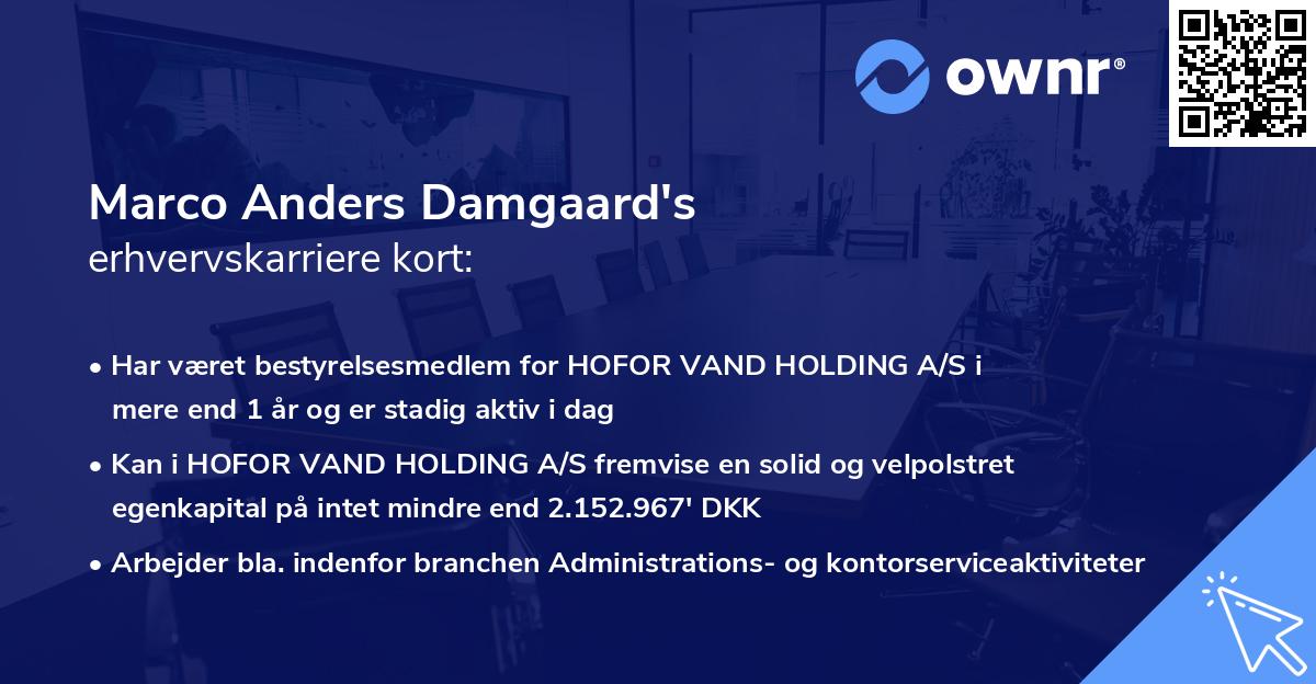 Marco Anders Damgaard's erhvervskarriere kort