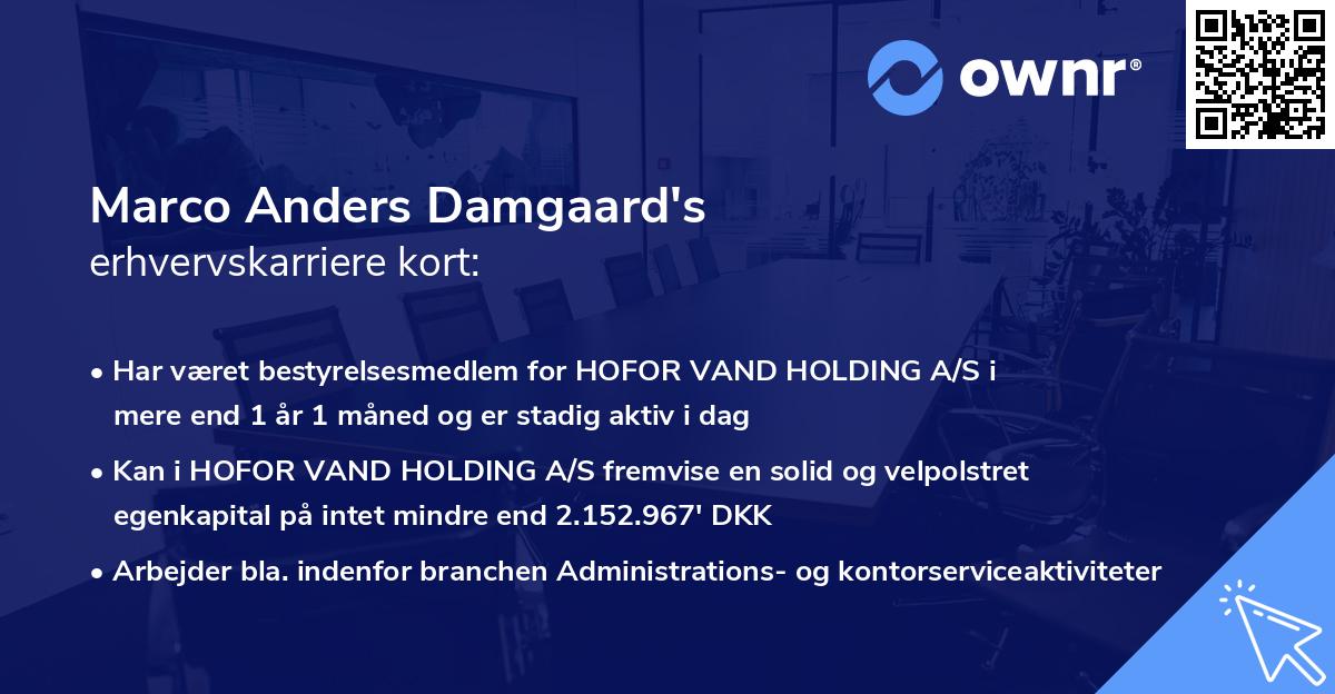 Marco Anders Damgaard's erhvervskarriere kort