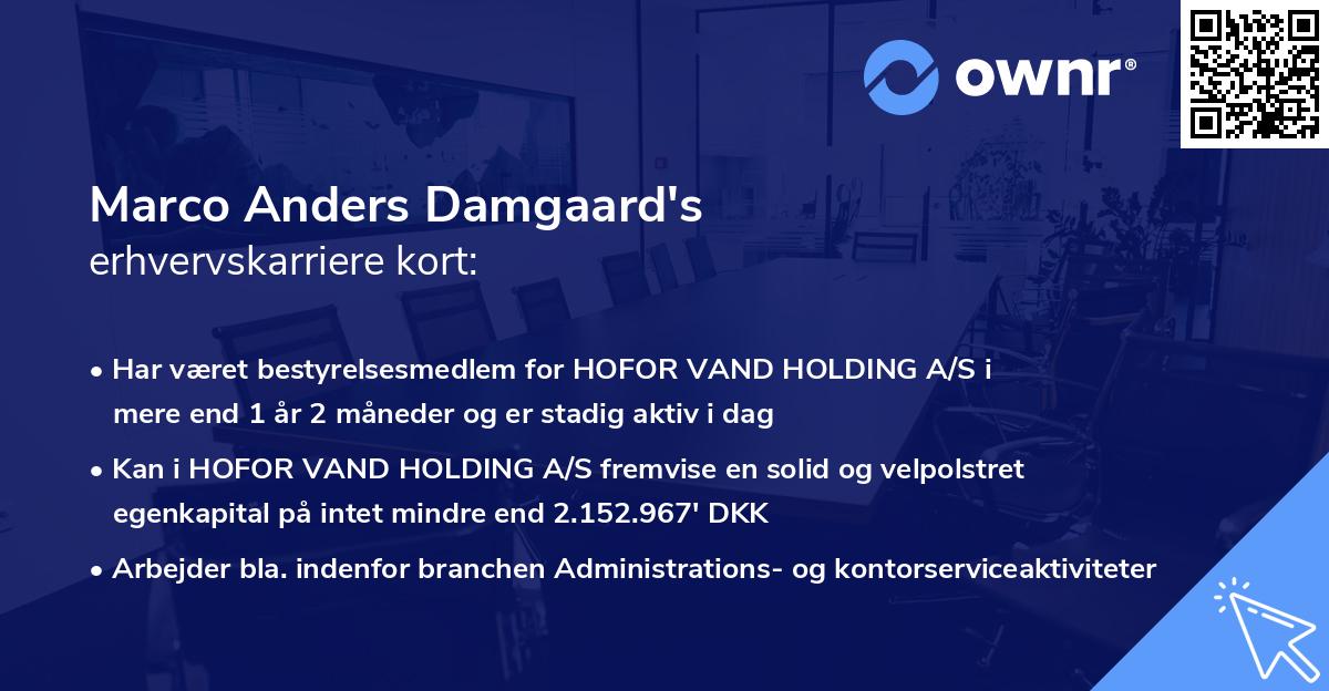 Marco Anders Damgaard's erhvervskarriere kort