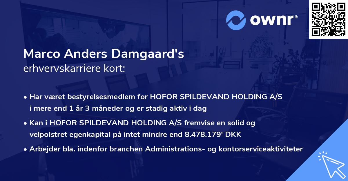 Marco Anders Damgaard's erhvervskarriere kort