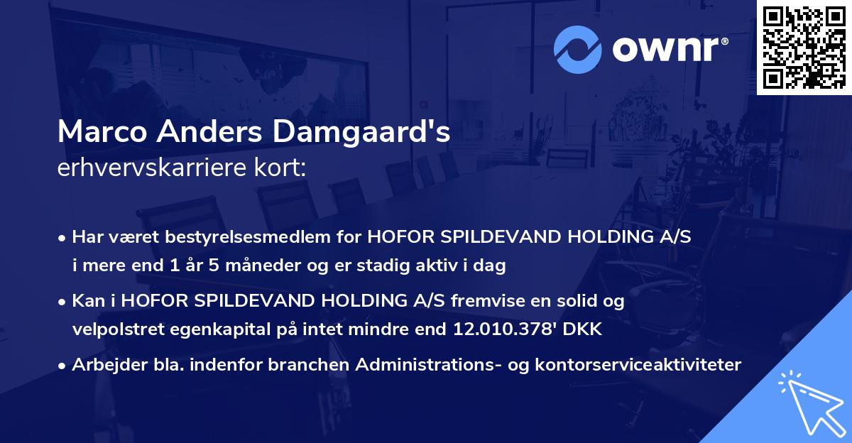 Marco Anders Damgaard's erhvervskarriere kort