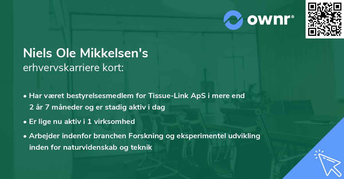 Niels Ole Mikkelsen's erhvervskarriere kort