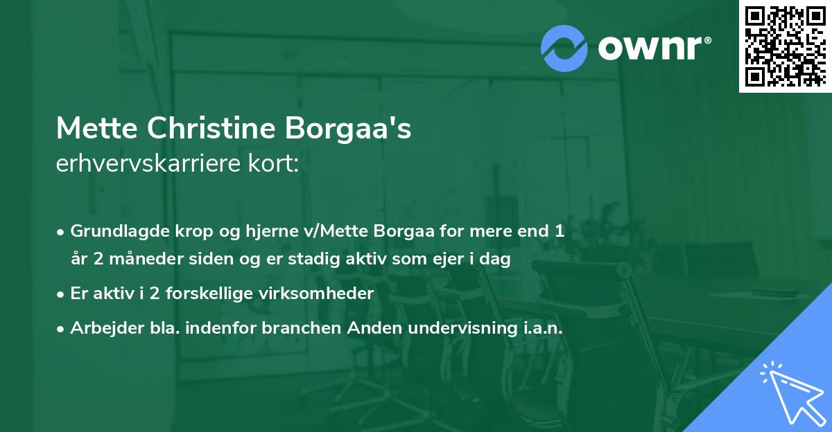 Mette Christine Borgaa's erhvervskarriere kort