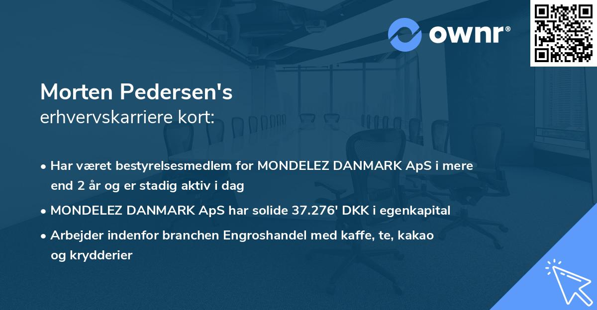 Morten Pedersen's erhvervskarriere kort