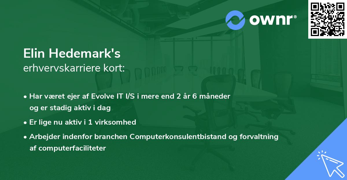 Elin Hedemark's erhvervskarriere kort