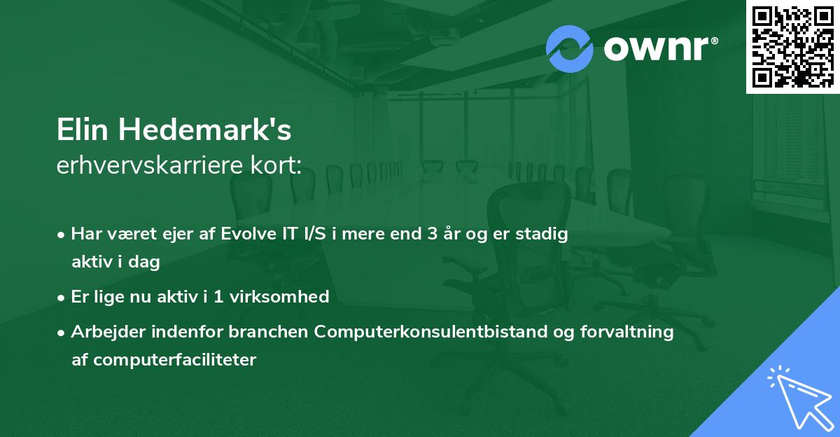 Elin Hedemark's erhvervskarriere kort