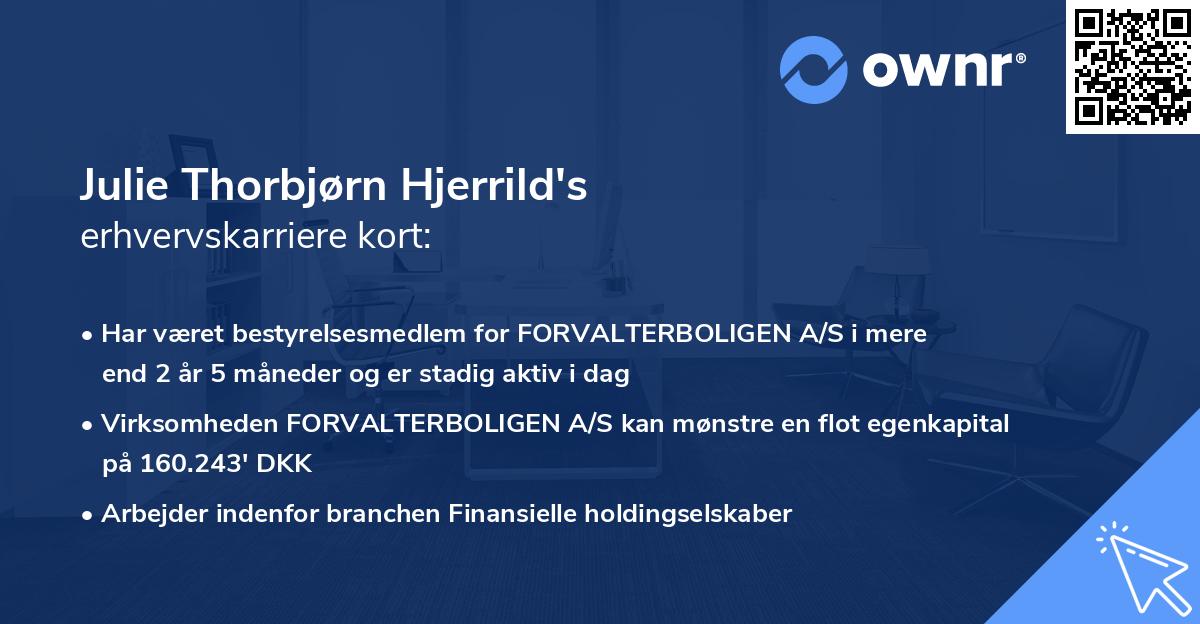 Julie Thorbjørn Hjerrild's erhvervskarriere kort