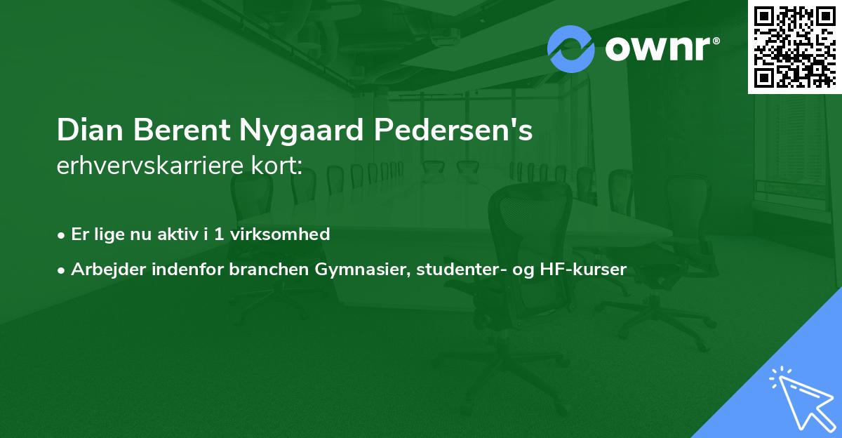 Dian Berent Nygaard Pedersen's erhvervskarriere kort