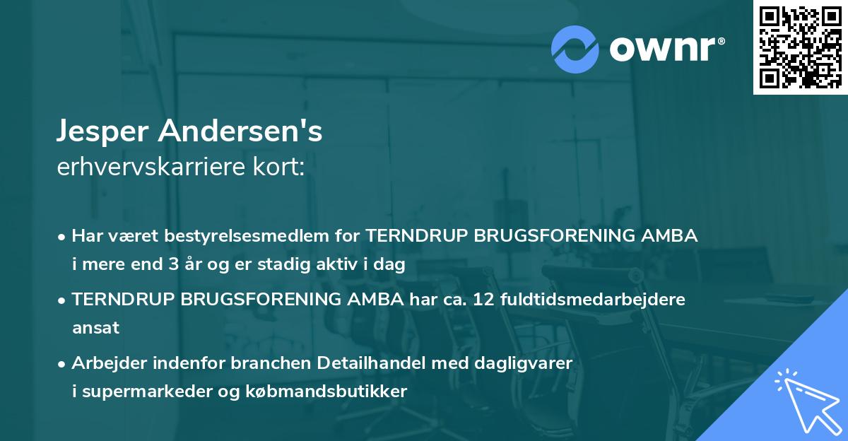 Jesper Andersen's erhvervskarriere kort