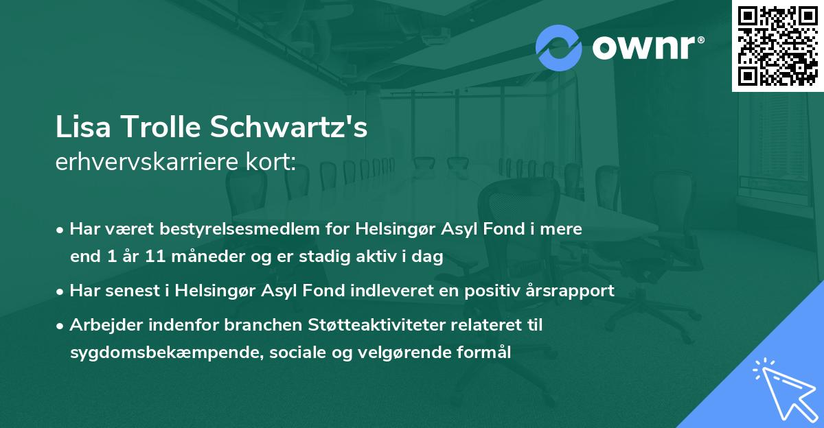 Lisa Trolle Schwartz's erhvervskarriere kort
