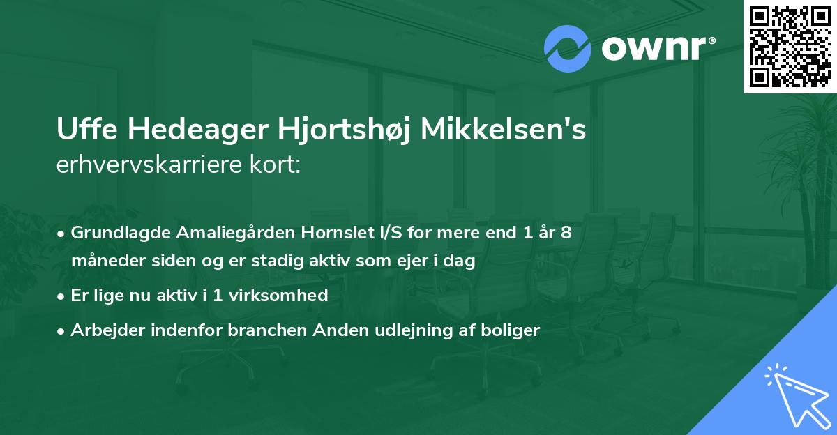 Uffe Hedeager Hjortshøj Mikkelsen's erhvervskarriere kort