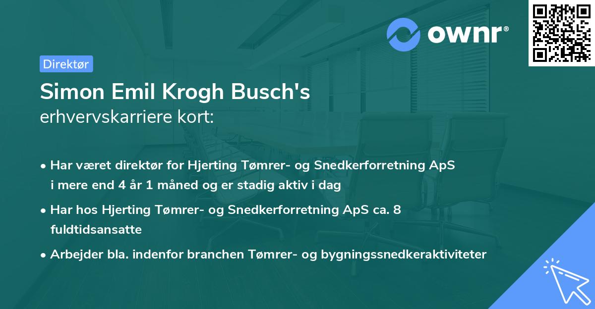 Simon Emil Krogh Busch's erhvervskarriere kort