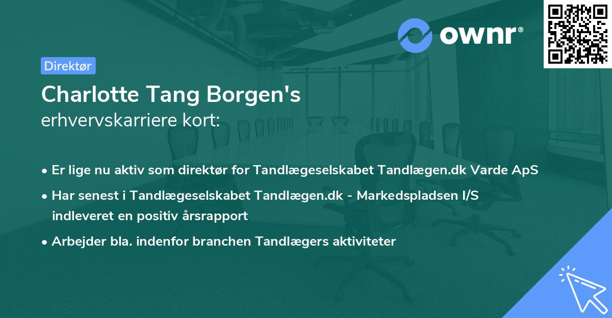 Charlotte Tang Borgen's erhvervskarriere kort