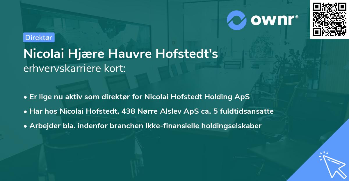 Nicolai Hjære Hauvre Hofstedt's erhvervskarriere kort