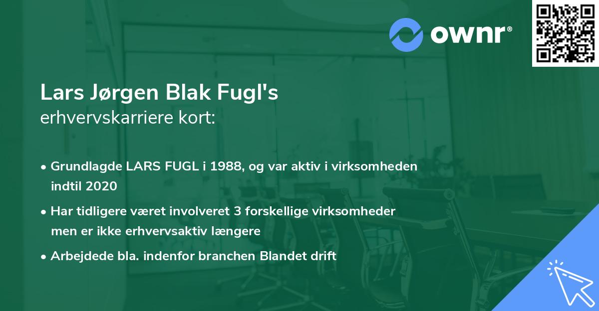 Lars Jørgen Blak Fugl's erhvervskarriere kort
