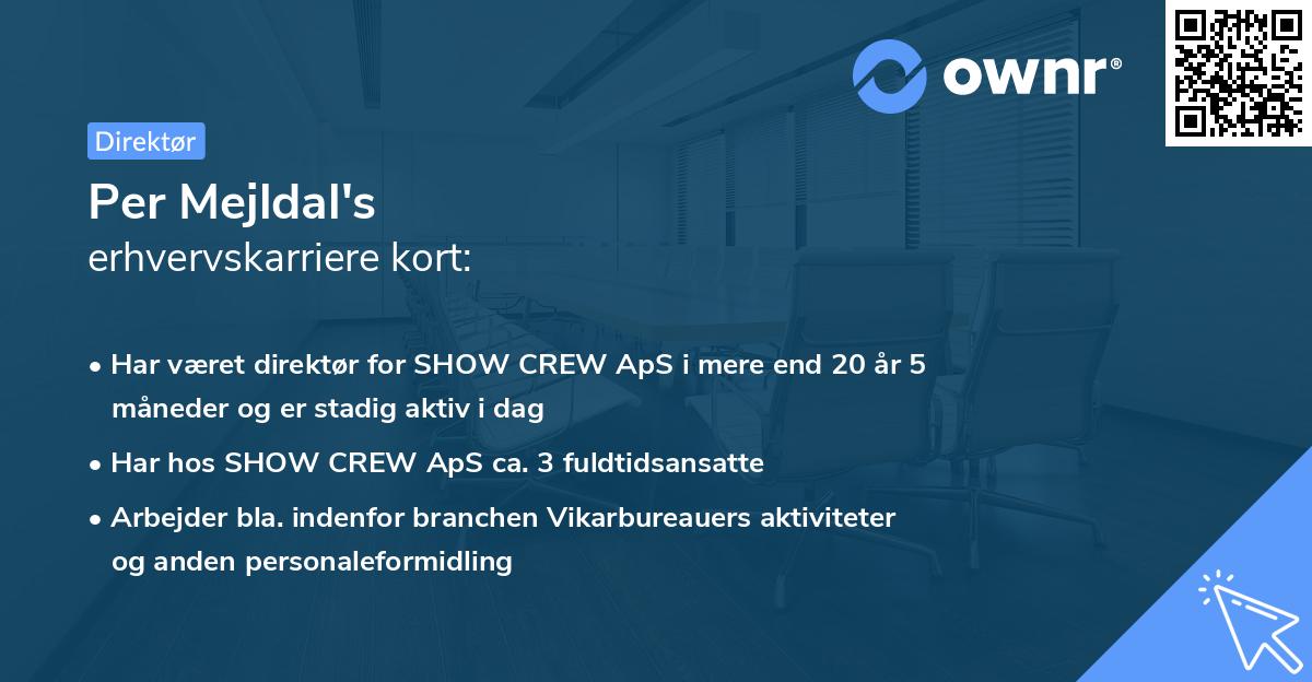 Per Mejldal's erhvervskarriere kort