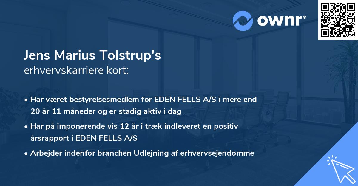 Jens Marius Tolstrup's erhvervskarriere kort