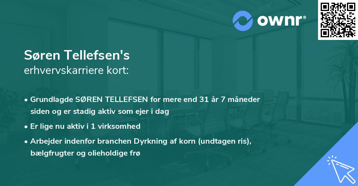 Søren Tellefsen's erhvervskarriere kort