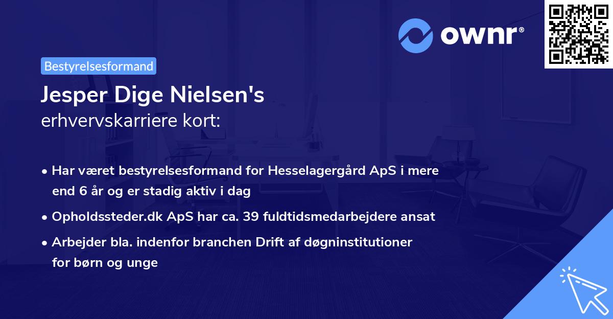 Jesper Dige Nielsen's erhvervskarriere kort