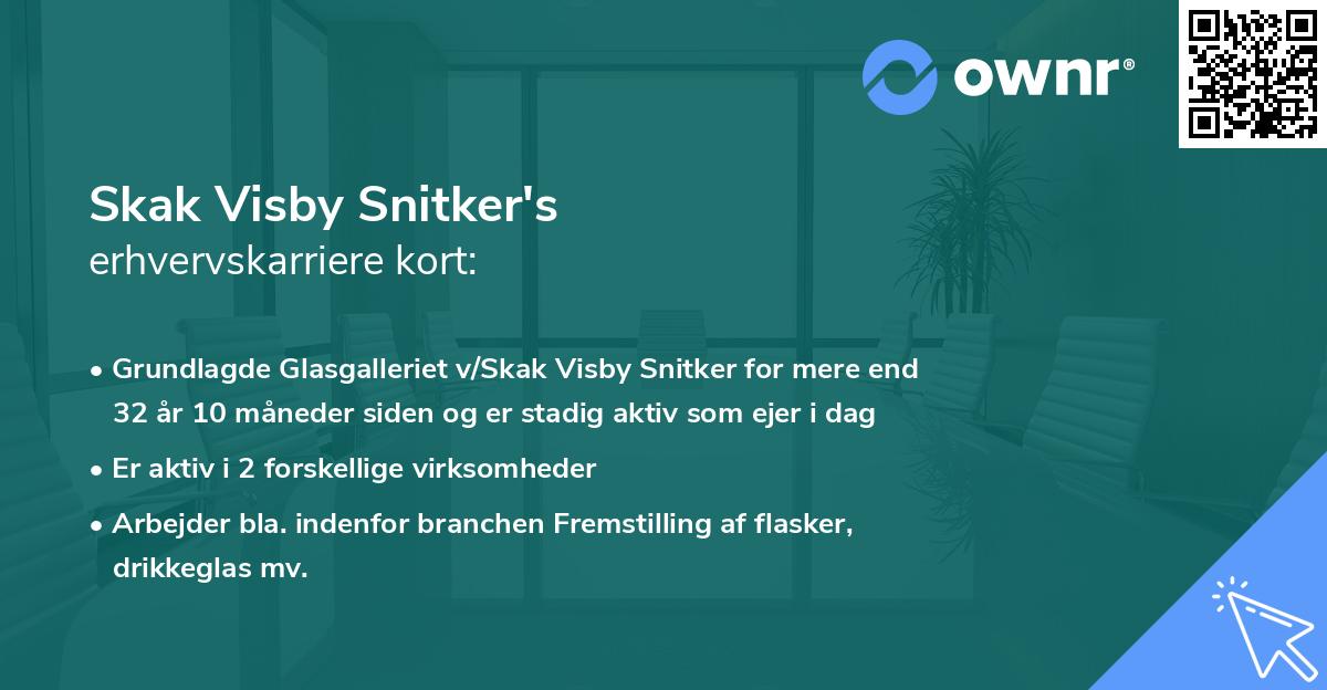 Skak Visby Snitker's erhvervskarriere kort