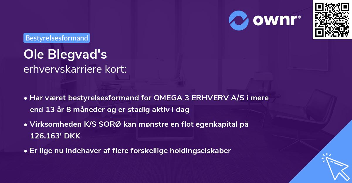 Ole Blegvad's erhvervskarriere kort