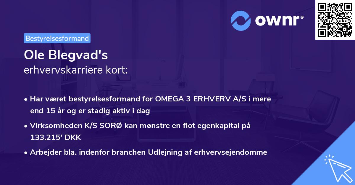Ole Blegvad's erhvervskarriere kort