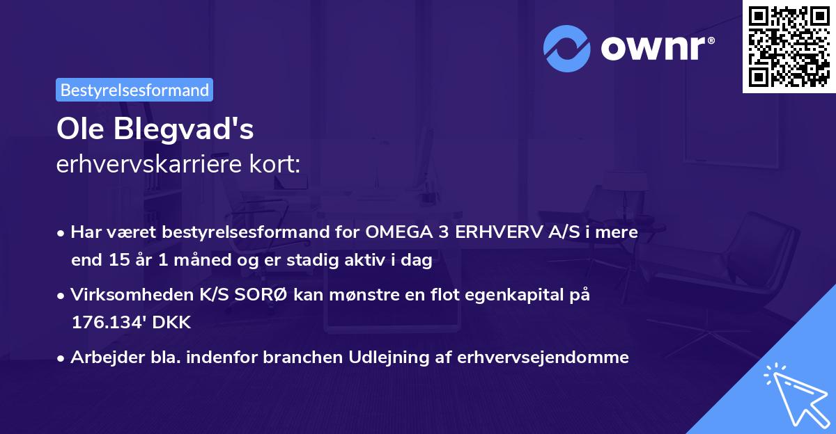 Ole Blegvad's erhvervskarriere kort