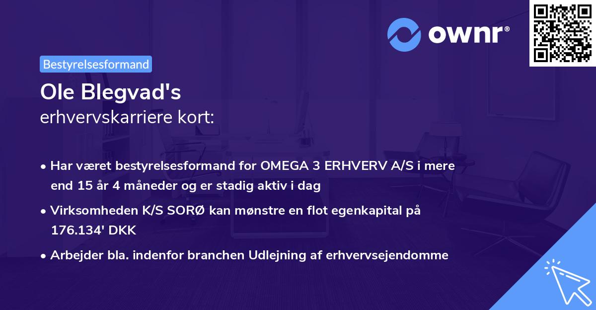 Ole Blegvad's erhvervskarriere kort