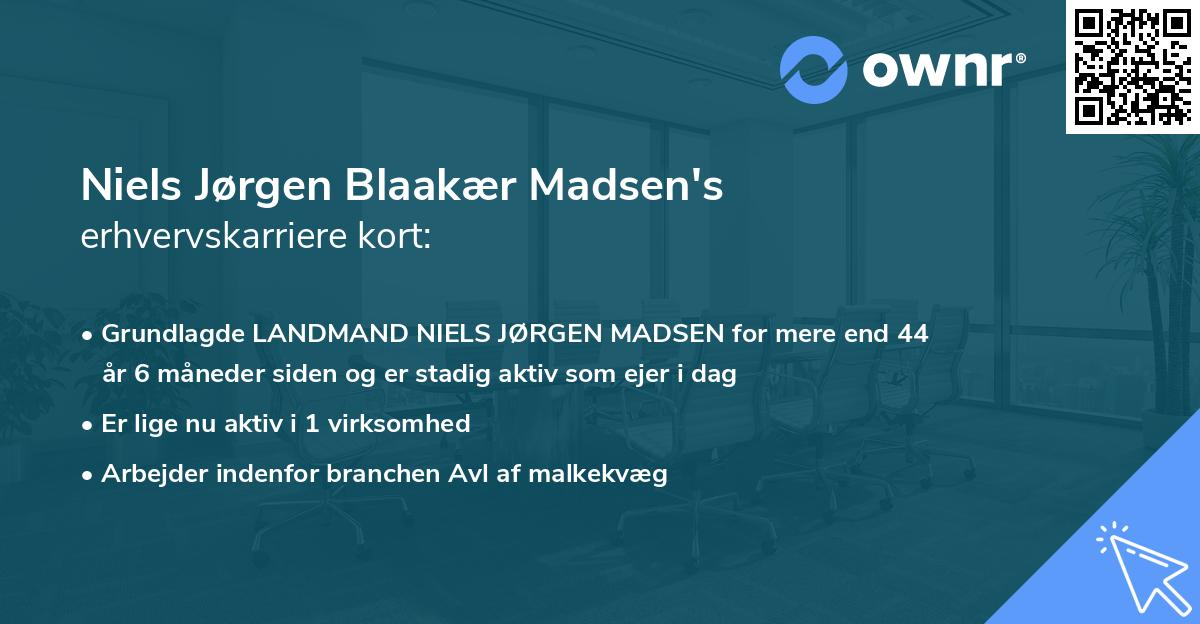 Niels Jørgen Blaakær Madsen's erhvervskarriere kort