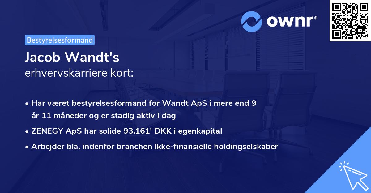 Jacob Wandt's erhvervskarriere kort