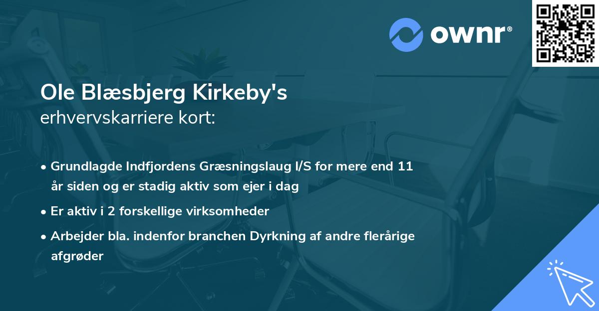 Ole Blæsbjerg Kirkeby's erhvervskarriere kort