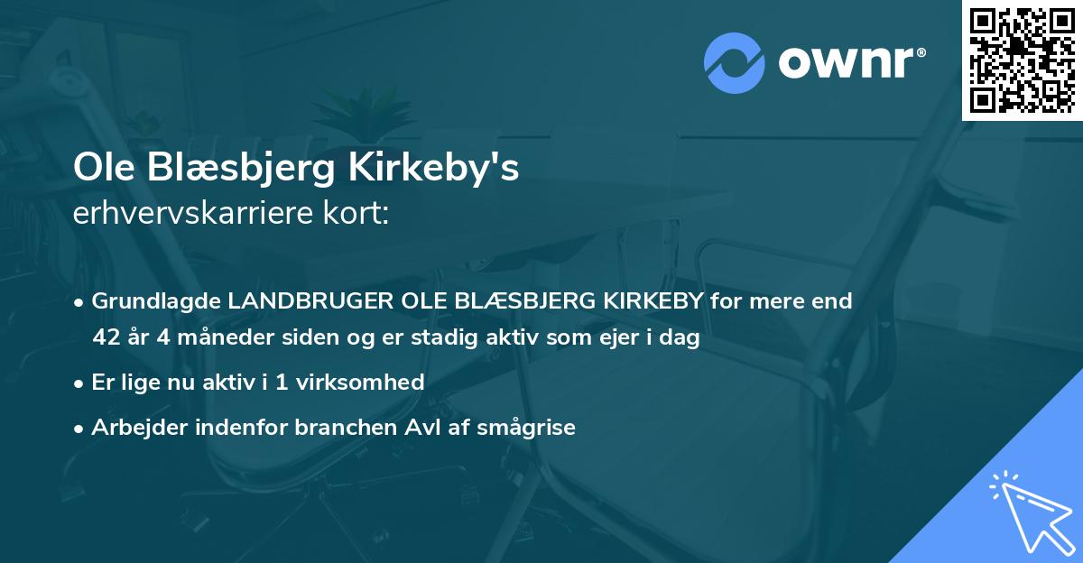 Ole Blæsbjerg Kirkeby's erhvervskarriere kort