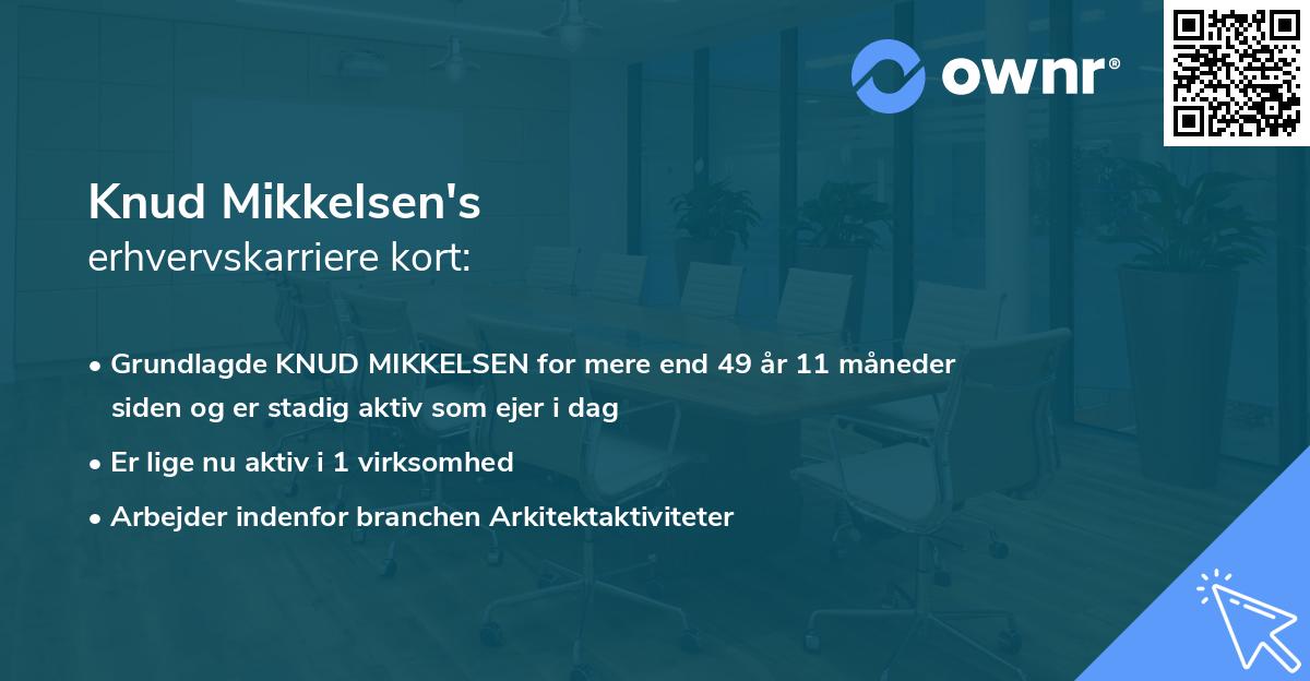 Knud Mikkelsen's erhvervskarriere kort