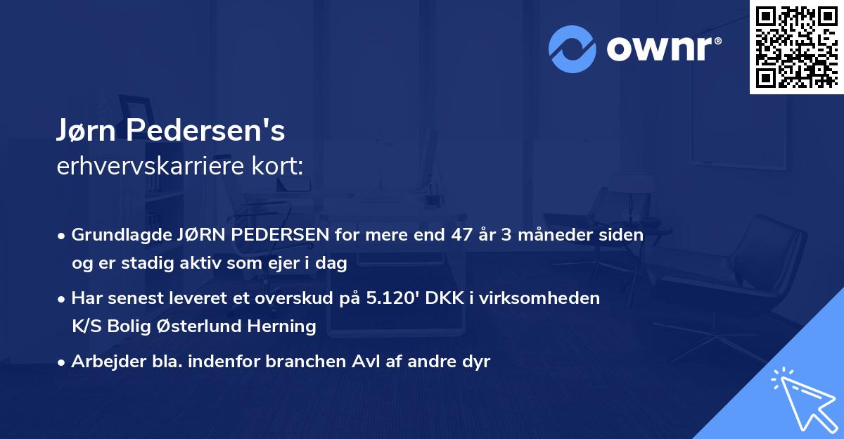 Jørn Pedersen's erhvervskarriere kort